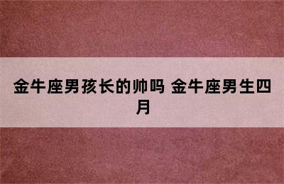 金牛座男孩长的帅吗 金牛座男生四月